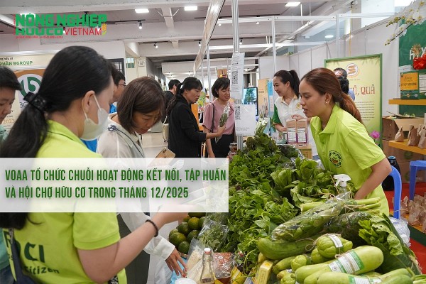 VOAA tổ chức chuỗi hoạt động kết nối, tập huấn, hội chợ hữu cơ trong tháng 12/2025