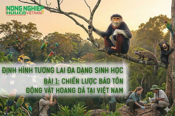 Định hình tương lai đa dạng sinh học- Bài 1: Chiến lược bảo tồn động vật hoang dã tại Việt Nam