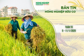 Bản tin Nông nghiệp Hữu cơ, tuần từ 5 - 11/1/2026