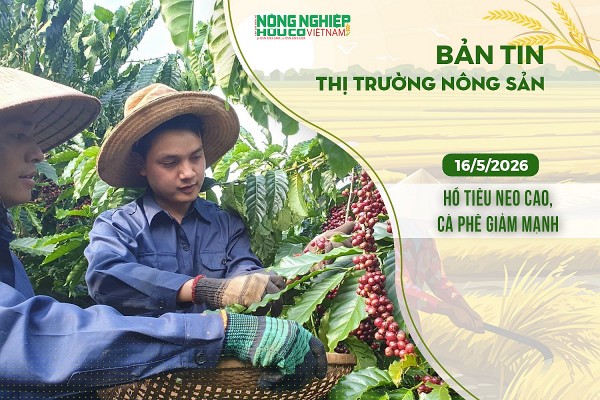thi truong nong san 1652026 ho tieu neo cao ca phe giam manh