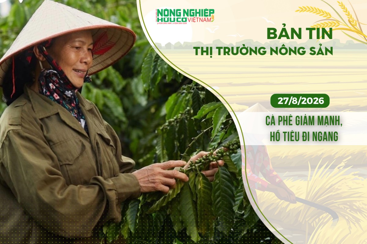 thi truong nong san 2782026 ca phe giam manh ho tieu di ngang